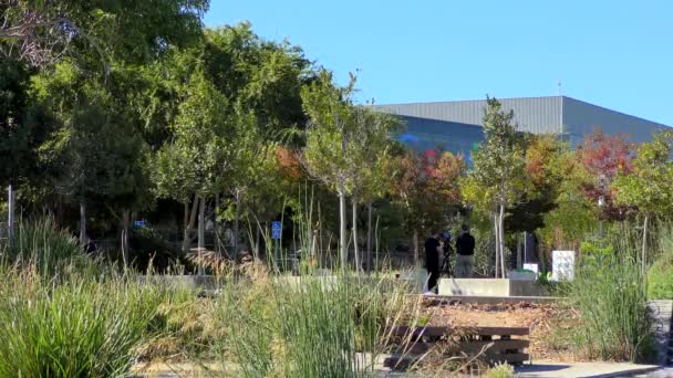 Pembangunan Googleplex Kompleks Markas Besar Google Dan Perusahaan Induknya Alphabet — Stok Video