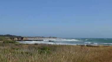 Pasifik Okyanusu Ano Nuevo Eyalet Parkı, Santa Cruz County, California, Usa, 2018