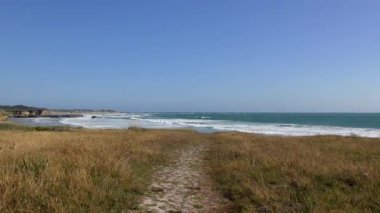 Pasifik Okyanusu Ano Nuevo Eyalet Parkı, Santa Cruz County, California, Usa, 2018