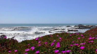 Pasifik Okyanusu, Bean Hollow Eyalet Plajı, Santa Cruz County, California, Usa, 2018