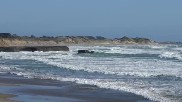 Oceano Pacifico All Ano Nuevo State Park Contea Santa Cruz — Video Stock