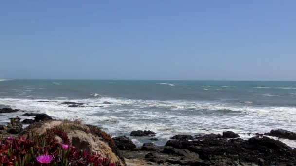 Stille Oceaan Bij Bean Hollow State Beach Santa Cruz County — Stockvideo