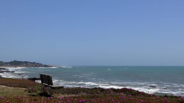 Stille Oceaan Bij Bean Hollow State Beach Santa Cruz County — Stockvideo