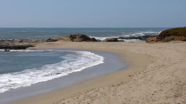2018年美国加利福尼亚州圣克鲁斯县半月湾海滩的太平洋 — 图库视频影像