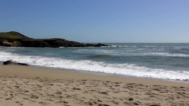 Pacific Half Moon Bay State Beach Santa Cruz County California — стокове відео