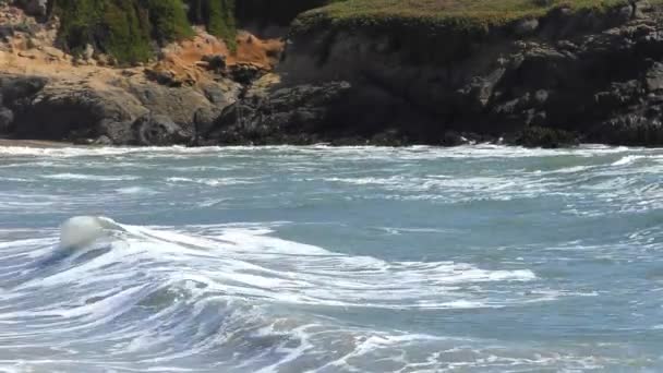 Stilla Havet Vid Half Moon Bay State Beach Santa Cruz — Stockvideo