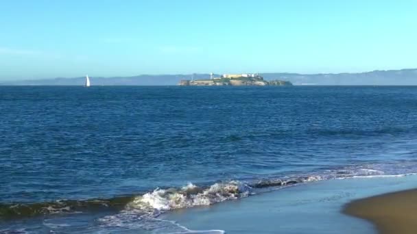 Остров Алькатрас Видно Крисси Филд Сан Франциско Калифорния Сша — стоковое видео