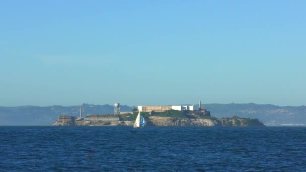 Alcatraz Adası San Francisco Kaliforniya Daki Chrissy Field Dan Görüldüğü — Stok video