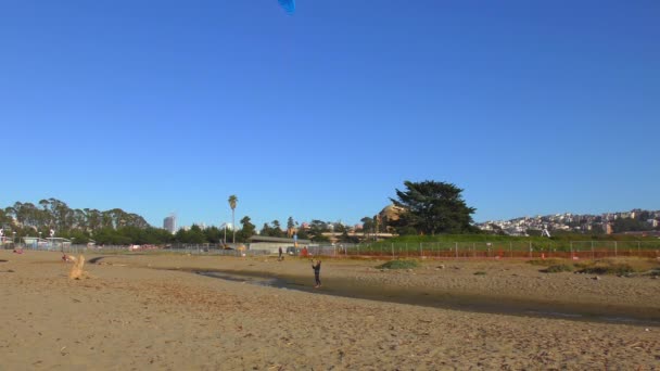 Oidentifierade Människor Chrissy Field Beach San Francisco Kalifornien 2017 — Stockvideo