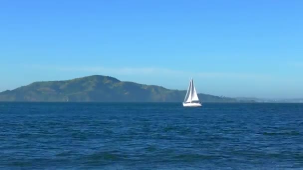 Utsikt Från Chrissy Field San Francisco Kalifornien Usa — Stockvideo