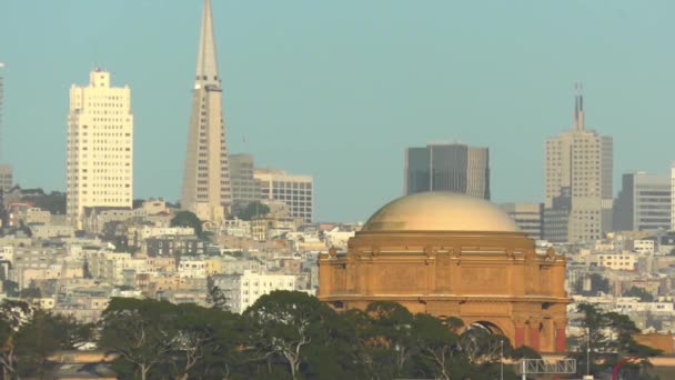 San Francisco Skyline Vom Chrissy Field San Francisco Kalifornien Usa — Stockvideo