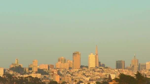 San Francisco Skyline Bei Sonnenuntergang Vom Chrissy Field San Francisco — Stockvideo