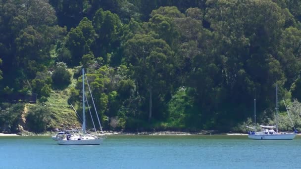 Yachten Auf Der Schatzinsel San Francisco Kalifornien Usa 2018 — Stockvideo