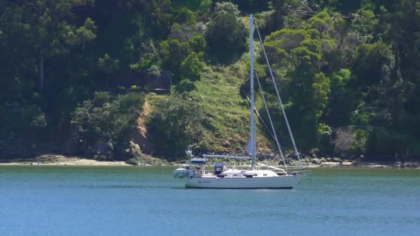 Yacht All Isola Del Tesoro San Francisco California Usa 2018 — Video Stock
