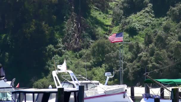 Yachts Treasure Island San Francisco California Usa 2018 — стокове відео