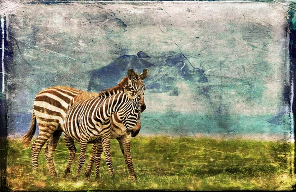 Zebras Lake Nakuru National Park Raw Відредагована Картина — стокове фото