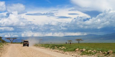 Tanzanya 'daki Serengeti Milli Parkı' nda Afrika manzarası