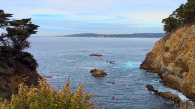 Pasifik Okyanusu Point Lobos Eyaleti Doğal Rezervi, Kaliforniya, ABD. Point Lobos koruma alanları çok çeşitli balıklara, omurgasızlara, kuşlara ve deniz memelilerine barınak sağlar.