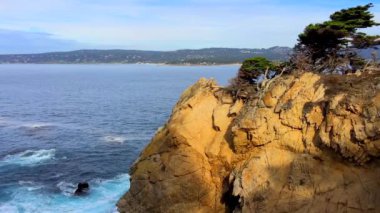 Pasifik Okyanusu Point Lobos Eyaleti Doğal Rezervi, Kaliforniya, ABD. Point Lobos koruma alanları çok çeşitli balıklara, omurgasızlara, kuşlara ve deniz memelilerine barınak sağlar.