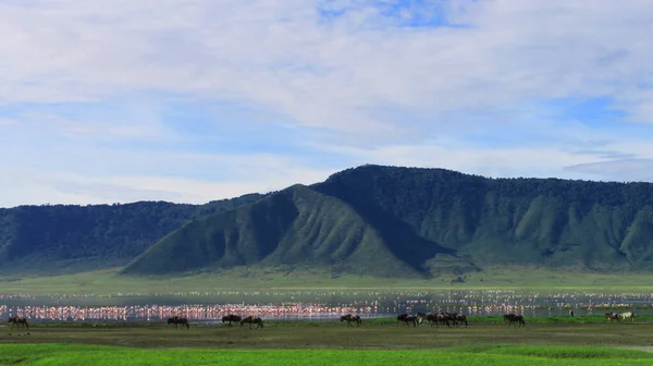 Pemandangan Indah Dengan Gunung — Stok Foto