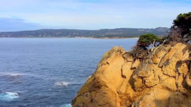 Pasifik Okyanusu Point Lobos Eyaleti Doğal Rezervi, Kaliforniya, ABD. Point Lobos koruma alanları çok çeşitli balıklara, omurgasızlara, kuşlara ve deniz memelilerine barınak sağlar.