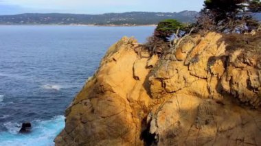 Pasifik Okyanusu Point Lobos Eyaleti Doğal Rezervi, Kaliforniya, ABD. Point Lobos koruma alanları çok çeşitli balıklara, omurgasızlara, kuşlara ve deniz memelilerine barınak sağlar.
