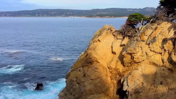 Stille Oceaan Het Point Lobos State Natural Reserve Californië Verenigde — Stockvideo