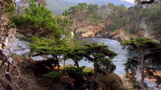 Ειρηνικός Ωκεανός Στο Point Lobos State Natural Reserve Καλιφόρνια Ηνωμένες — Αρχείο Βίντεο