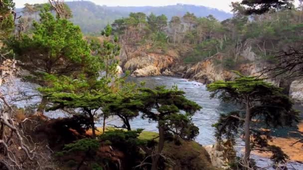 Ειρηνικός Ωκεανός Στο Point Lobos State Natural Reserve Καλιφόρνια Ηνωμένες — Αρχείο Βίντεο