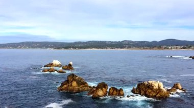 Pasifik Okyanusu Point Lobos Eyaleti Doğal Rezervi, Kaliforniya, ABD. Point Lobos koruma alanları çok çeşitli balıklara, omurgasızlara, kuşlara ve deniz memelilerine barınak sağlar.