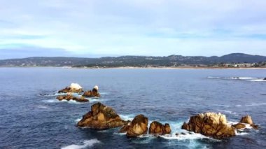 Pasifik Okyanusu Point Lobos Eyaleti Doğal Rezervi, Kaliforniya, ABD. Point Lobos koruma alanları çok çeşitli balıklara, omurgasızlara, kuşlara ve deniz memelilerine barınak sağlar.