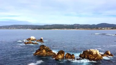 Pasifik Okyanusu Point Lobos Eyaleti Doğal Rezervi, Kaliforniya, ABD. Point Lobos koruma alanları çok çeşitli balıklara, omurgasızlara, kuşlara ve deniz memelilerine barınak sağlar.