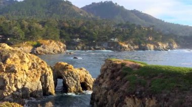 Pasifik Okyanusu Point Lobos Eyaleti Doğal Rezervi, Kaliforniya, ABD. Point Lobos koruma alanları çok çeşitli balıklara, omurgasızlara, kuşlara ve deniz memelilerine barınak sağlar.