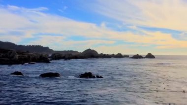 Pasifik Okyanusu Point Lobos Eyaleti Doğal Rezervi, Kaliforniya, ABD. Point Lobos koruma alanları çok çeşitli balıklara, omurgasızlara, kuşlara ve deniz memelilerine barınak sağlar.
