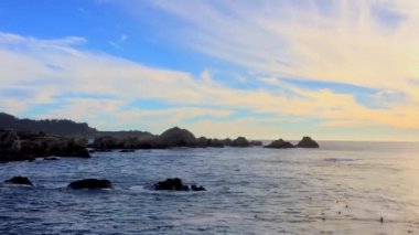 Pasifik Okyanusu Point Lobos Eyaleti Doğal Rezervi, Kaliforniya, ABD. Point Lobos koruma alanları çok çeşitli balıklara, omurgasızlara, kuşlara ve deniz memelilerine barınak sağlar.