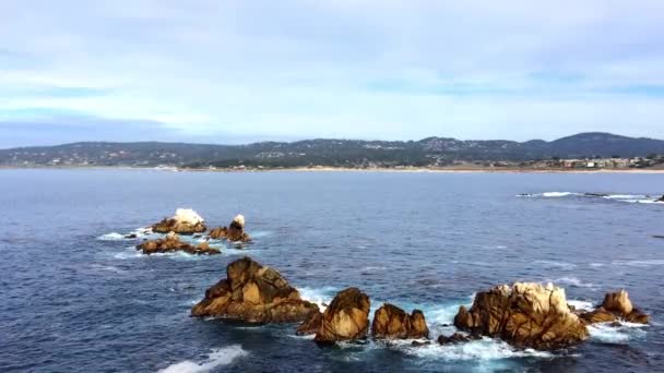 캘리포니아주 로보스 지점에 태평양 로보스가 보호를 지역은 무척추동물 금자리가 됩니다 — 비디오