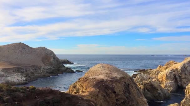 Stille Oceaan Het Point Lobos State Natural Reserve Californië Verenigde — Stockvideo