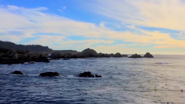 カリフォルニア州ポイント ロボス州立自然保護区の太平洋 ポイント ロボス保護地域は 無脊椎動物 海洋哺乳類の広い範囲への避難所を提供します — ストック動画