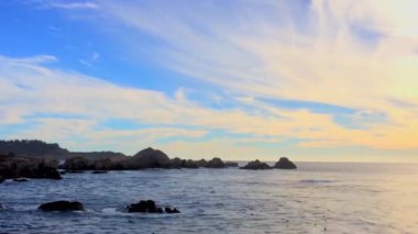 Pasifik Okyanusu Point Lobos Eyaleti Doğal Rezervi, Kaliforniya, ABD. Point Lobos koruma alanları çok çeşitli balıklara, omurgasızlara, kuşlara ve deniz memelilerine barınak sağlar.