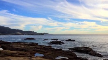 Pasifik Okyanusu Point Lobos Eyaleti Doğal Rezervi, Kaliforniya, ABD. Point Lobos koruma alanları çok çeşitli balıklara, omurgasızlara, kuşlara ve deniz memelilerine barınak sağlar.