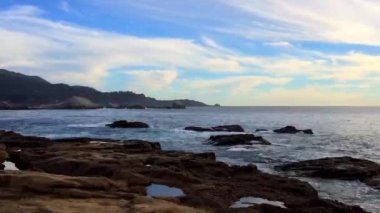 Pasifik Okyanusu Point Lobos Eyaleti Doğal Rezervi, Kaliforniya, ABD. Point Lobos koruma alanları çok çeşitli balıklara, omurgasızlara, kuşlara ve deniz memelilerine barınak sağlar.