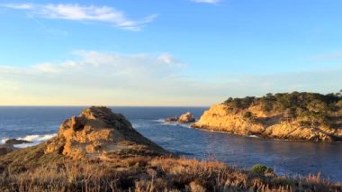 Pasifik Okyanusu Point Lobos Eyaleti Doğal Rezervi, Kaliforniya, ABD. Point Lobos koruma alanları çok çeşitli balıklara, omurgasızlara, kuşlara ve deniz memelilerine barınak sağlar.