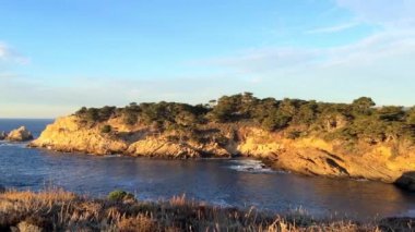 Pasifik Okyanusu Point Lobos Eyaleti Doğal Rezervi, Kaliforniya, ABD. Point Lobos koruma alanları çok çeşitli balıklara, omurgasızlara, kuşlara ve deniz memelilerine barınak sağlar.