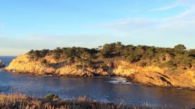 Pasifik Okyanusu Point Lobos Eyaleti Doğal Rezervi, Kaliforniya, ABD. Point Lobos koruma alanları çok çeşitli balıklara, omurgasızlara, kuşlara ve deniz memelilerine barınak sağlar.
