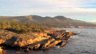 Pasifik Okyanusu Point Lobos Eyaleti Doğal Rezervi, Kaliforniya, ABD. Point Lobos koruma alanları çok çeşitli balıklara, omurgasızlara, kuşlara ve deniz memelilerine barınak sağlar.