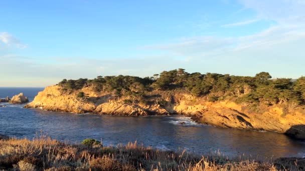 Pasifik Okyanusu Point Lobos Eyaleti Doğal Rezervi Kaliforniya Abd Point — Stok video