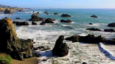 Pasifik Okyanusu, Sonoma Coast State Park, California, Usa. Sonoma Eyaleti 'nde, Pasifik Okyanusu' na bitişik topraklarda kamu erişiminden oluşan bir mülktür..