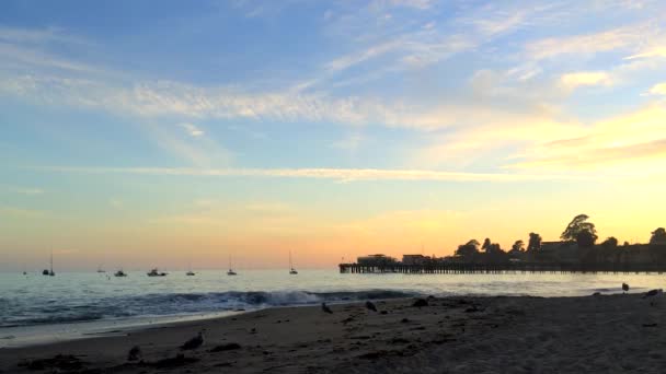 Pacific Ocean Capitola Sea California Usa — Stock Video