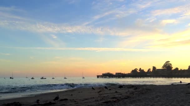 Stille Oceaan Bij Capitola Aan Zee Californië Usa — Stockvideo