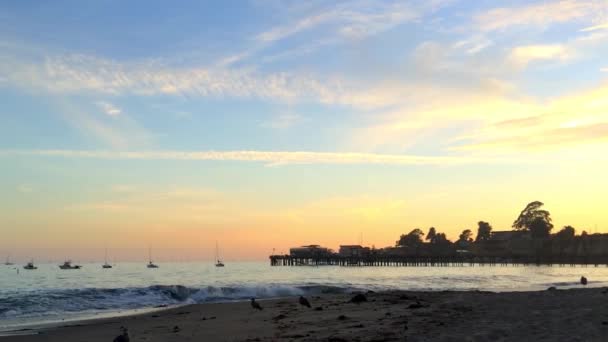 Stille Oceaan Bij Capitola Aan Zee Californië Usa — Stockvideo